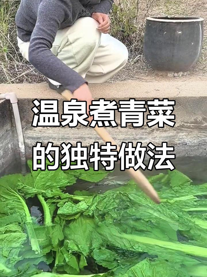 温泉水烫青菜,晒干做菜更美味