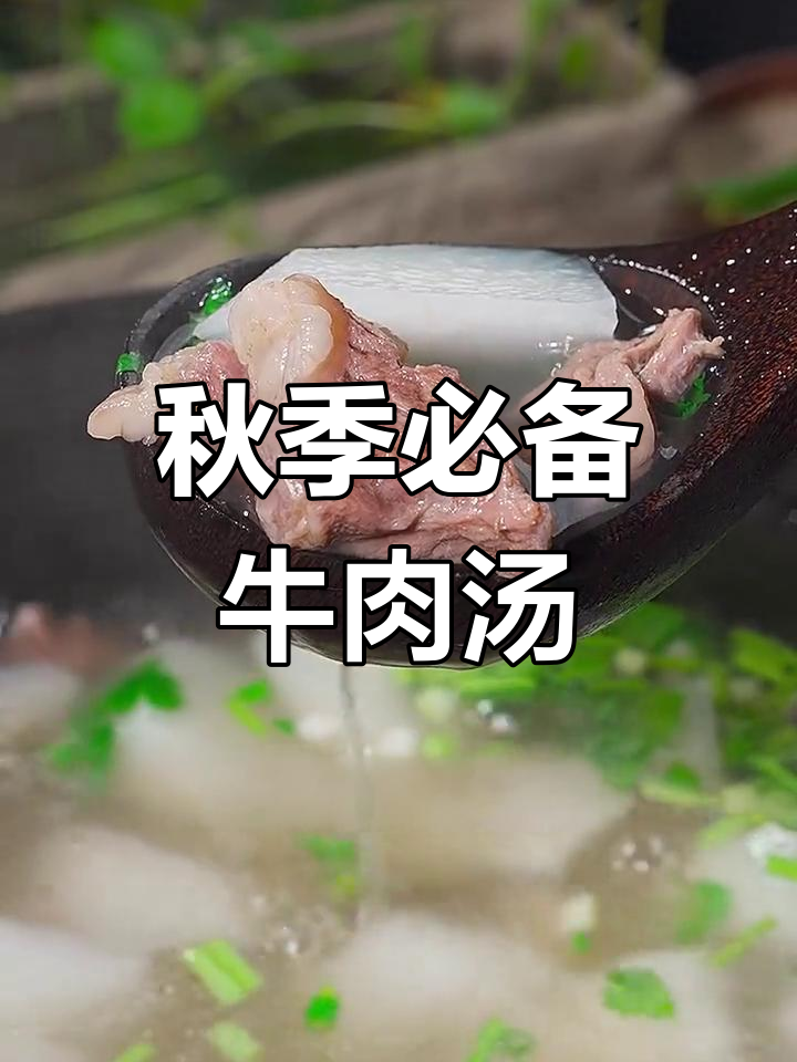 入秋必喝萝卜牛肉汤,鲜美滋补不油腻