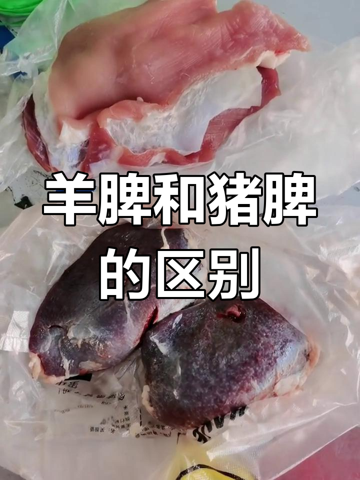 羊脾脏竟然长这样,猪脾也这么奇特吗?
