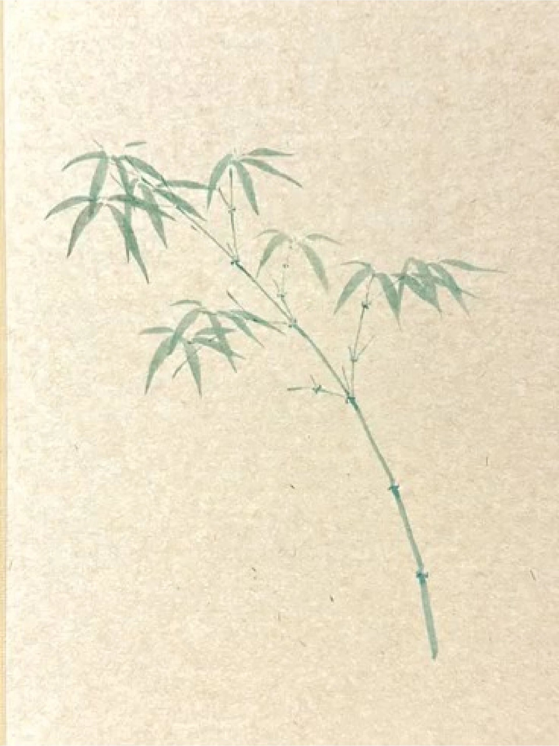 竹子画法来了