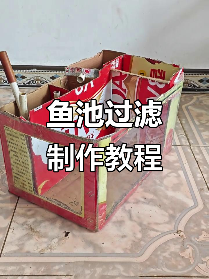 鱼池过滤系统全解析，详细步骤教你轻松搞定