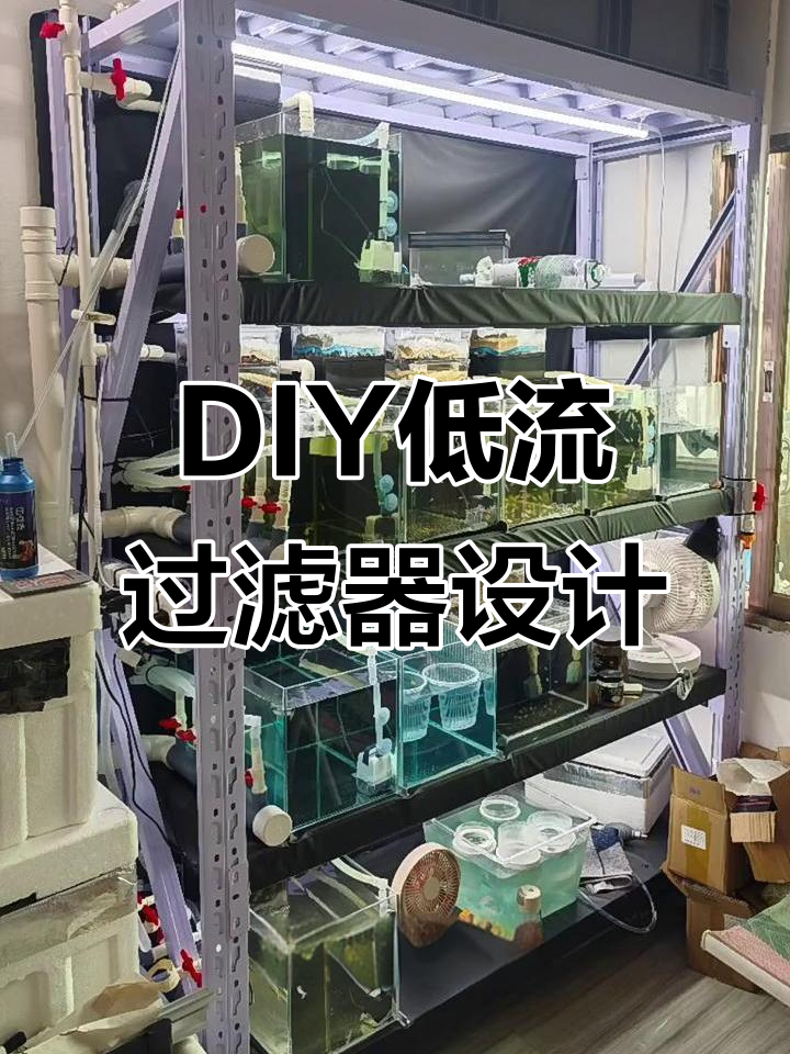 独立滴流过滤系统设计，免打孔、自动排水，孔雀鱼缸轻松搞定