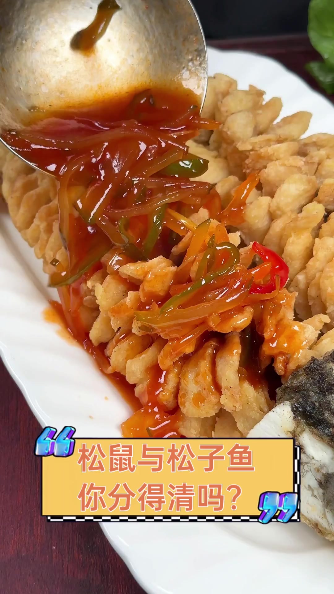 松鼠与松子鱼,你分得清吗?