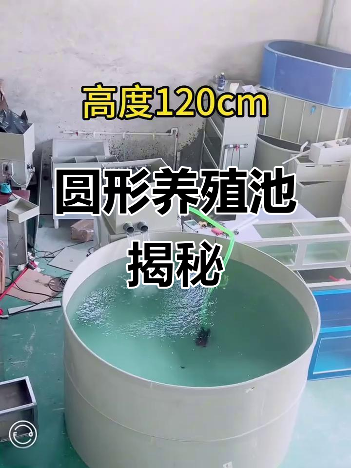 圆形养殖池中的独特设计与挑战