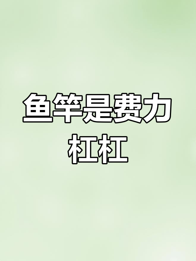 钓鱼竿的杠杆原理揭秘