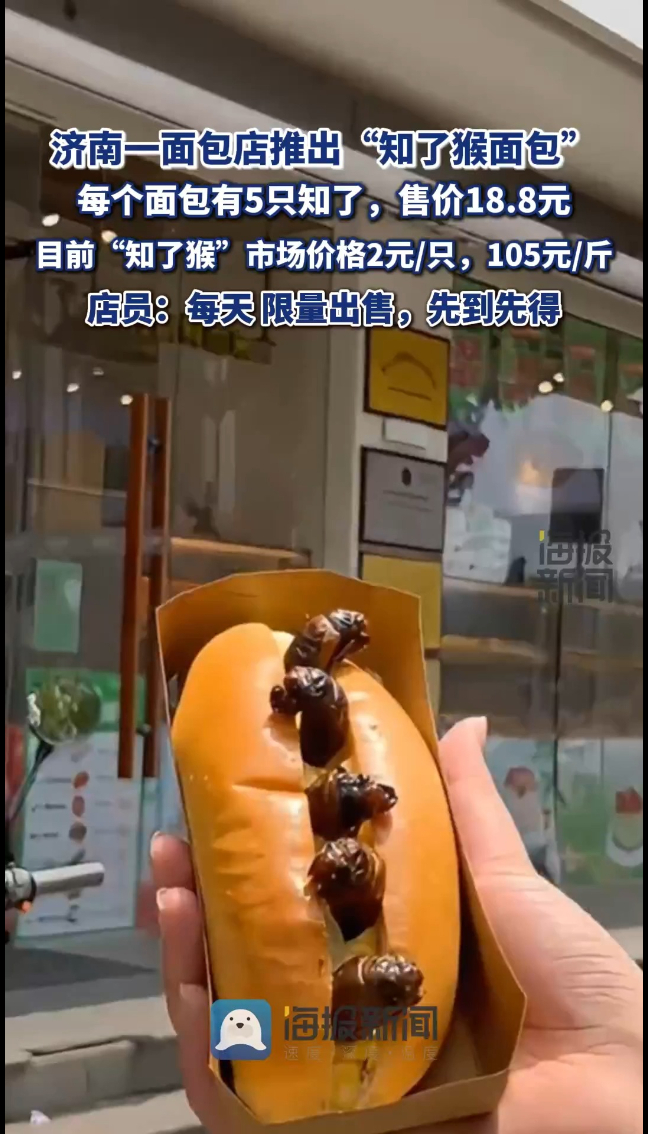 济南一面包店推出“知了猴面包” 每个面包有5只,售价18.8元,店员:每天限量出售,先到先