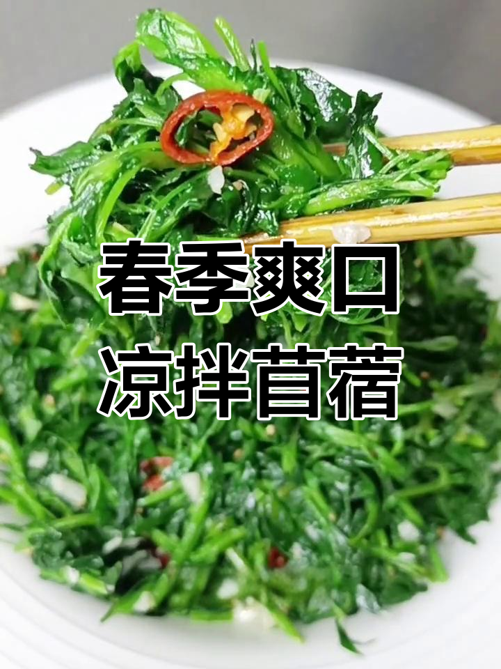 春天必吃凉拌苜蓿,清爽营养又美味