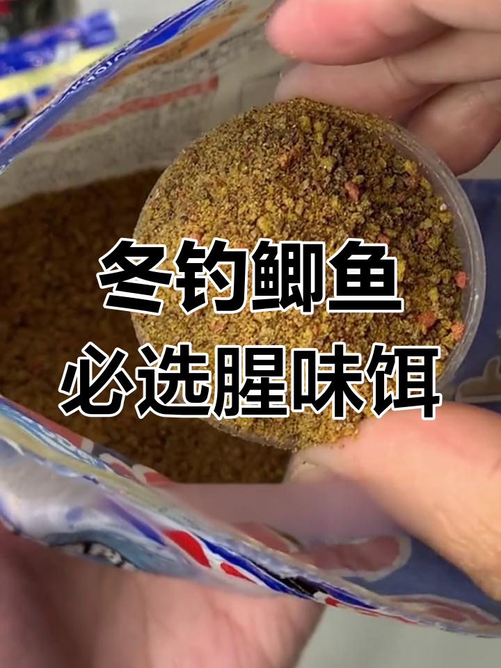 冬季钓鲫鱼,饵料选择至关重要