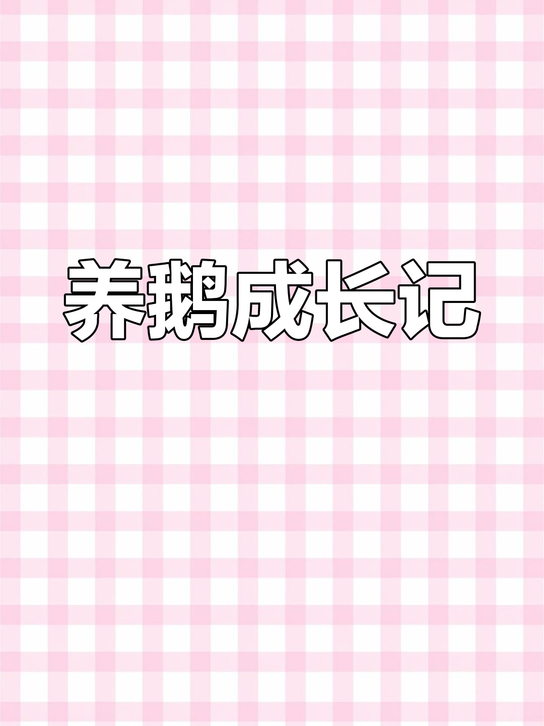 想要养鹅?关注我,了解种鹅成长过程!