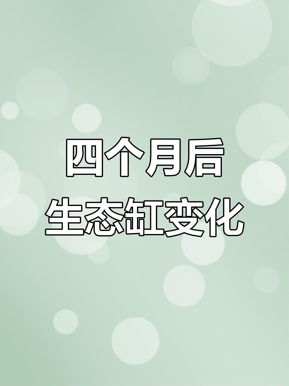 斗鱼生态缸四个月,员工们忙得不可开交