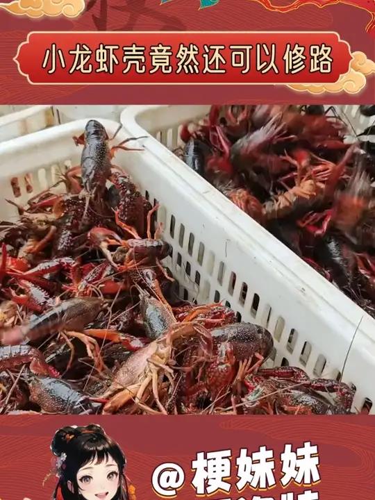 吃剩下的小龙虾壳,竟然可以用来修路