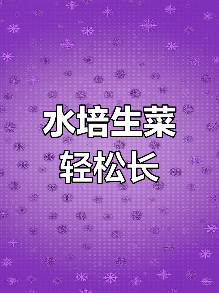 生菜根儿三天变新叶,水培法让你吃不停