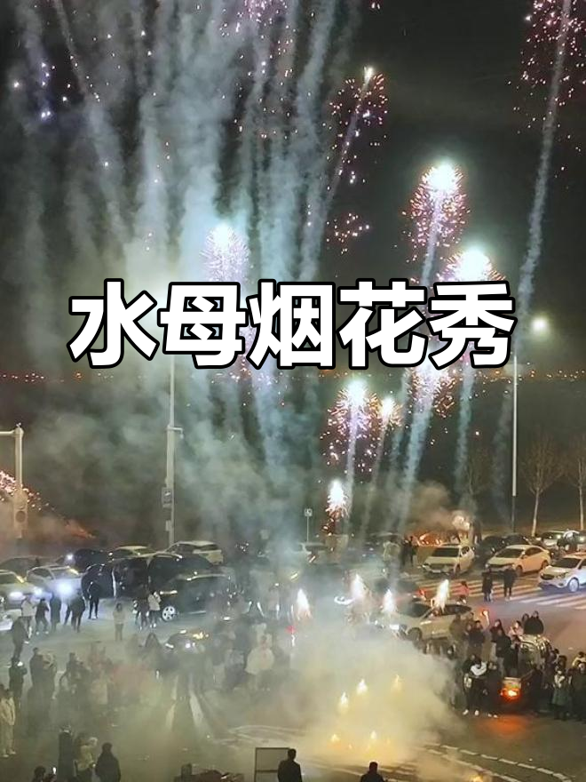 庐江烟花盛景,水母绽放梦幻夜空!