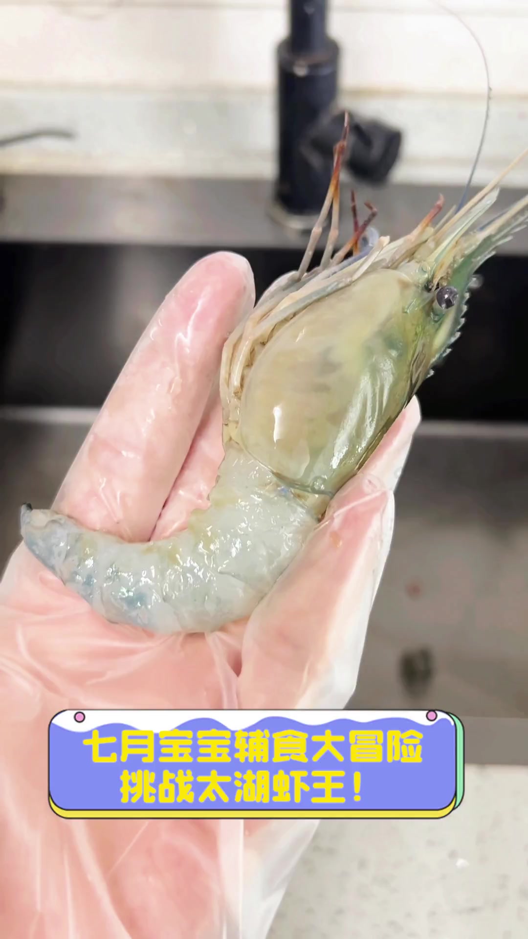 七月宝宝辅食大冒险,挑战太湖虾王!