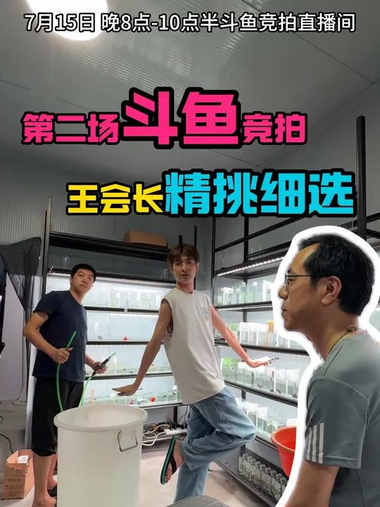 7月15日晚8点-10点半第二场斗鱼竞拍 小型鱼协会王会长严选18条鱼，昨晚没抢到的今天继