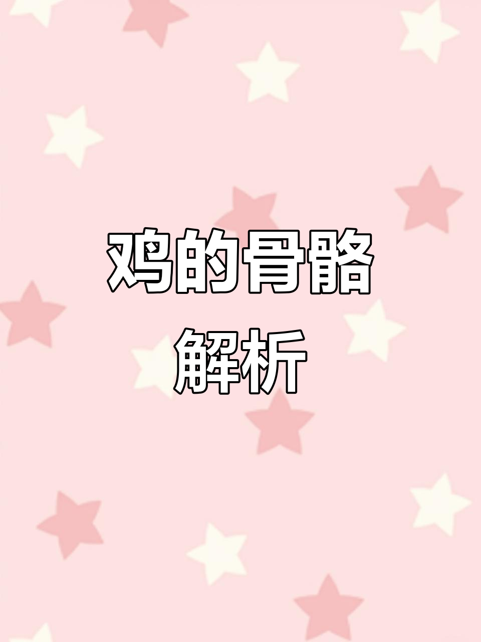 揭秘鸡的骨骼结构，原来这么有趣！