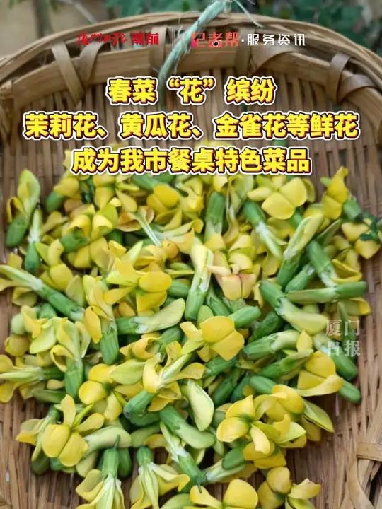 春菜“花”缤纷,茉莉花、黄瓜花、金雀花等鲜花成为我市餐桌特色菜品