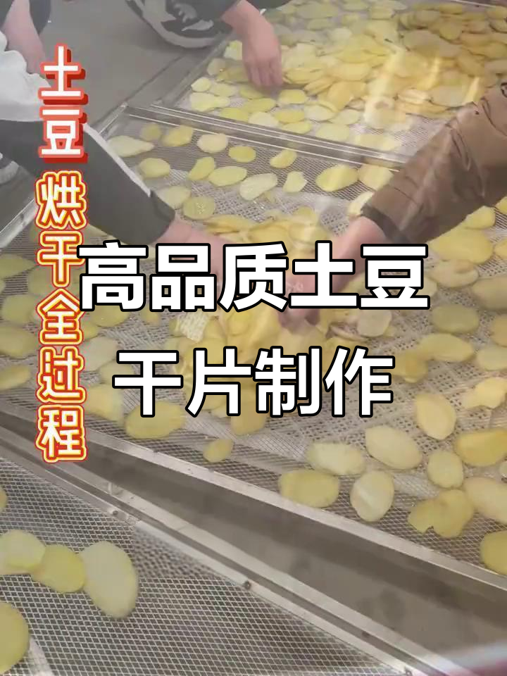 土豆干片烘干全流程,轻松搞定高品质产品