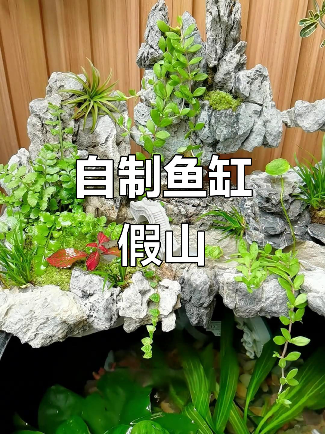 鱼缸假山造景全攻略，打造自然生态景观