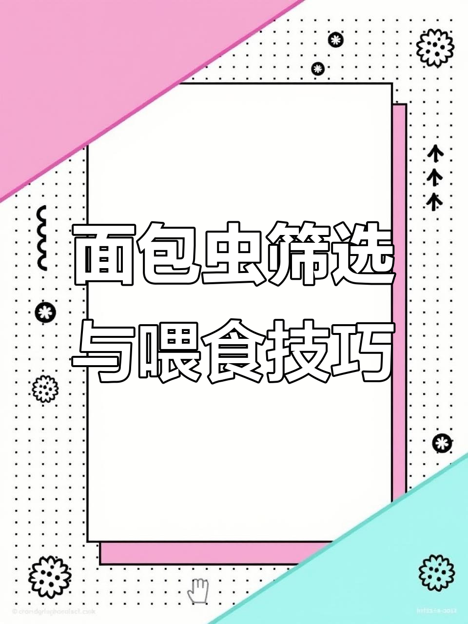 面包虫怎么筛?花枝鼠和玉米蛇的喂养技巧大揭秘