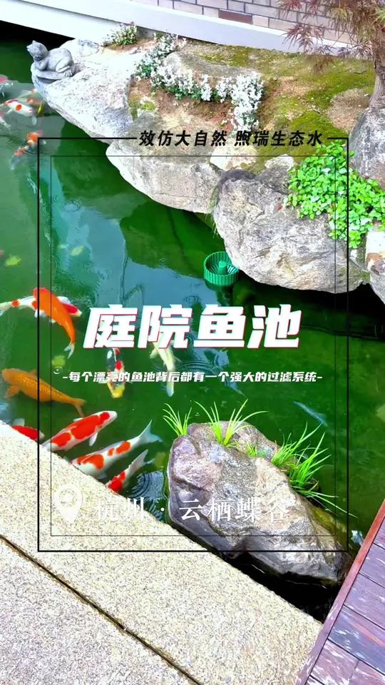 养鱼,养心,这一方鱼池,沁人心脾,心旷神怡,心悦神怡。俗话说,养鱼一池,胜服金汤,在能力范
