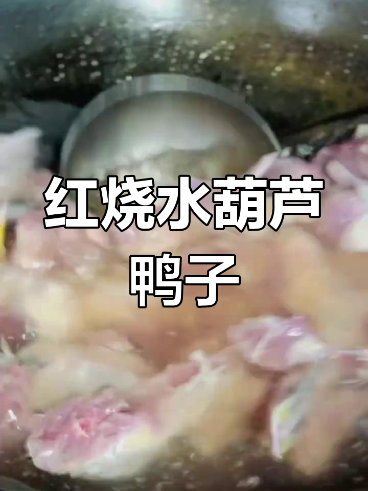 绿头野鸭红烧做法教程