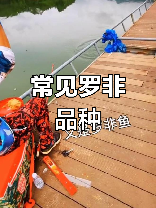 罗非鱼种类大揭秘