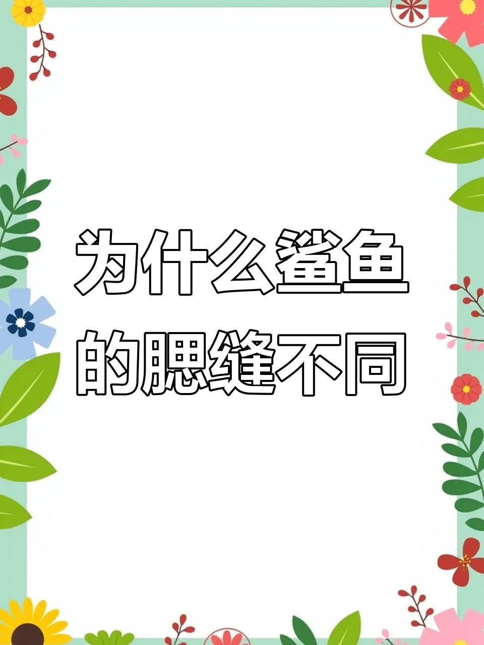 鲨鱼腮缝为何有差异?六七条才是最合适的