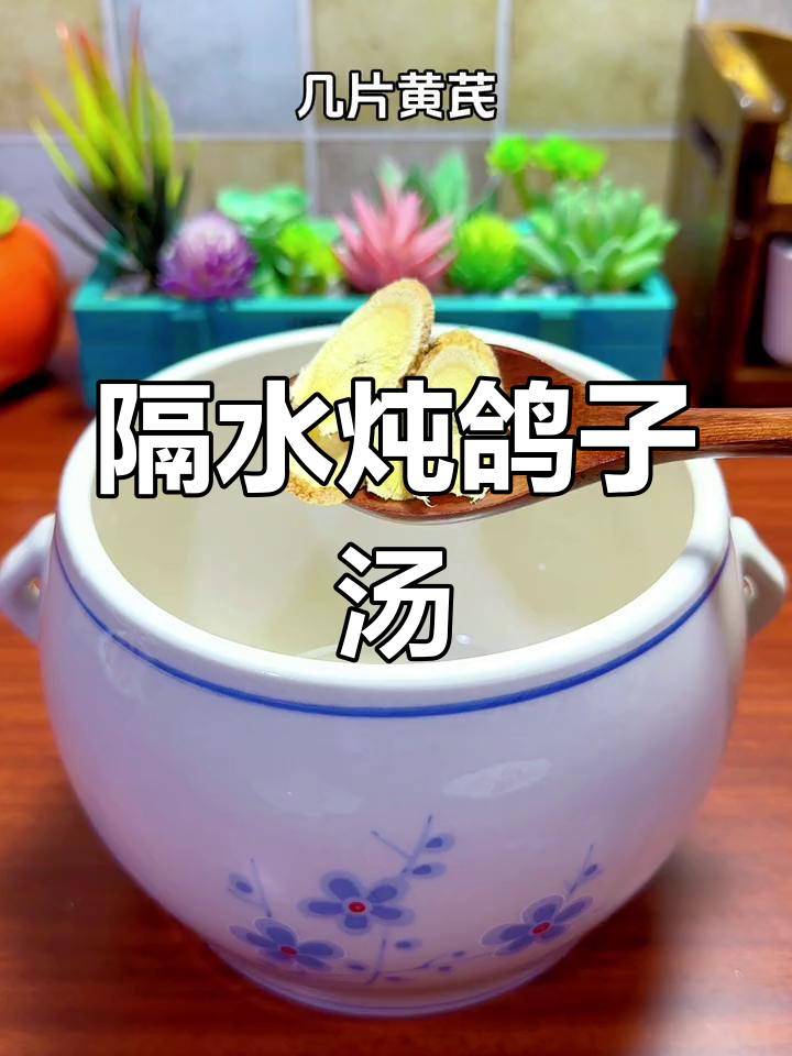 无水炖鸽子汤,精华全在汁水里!