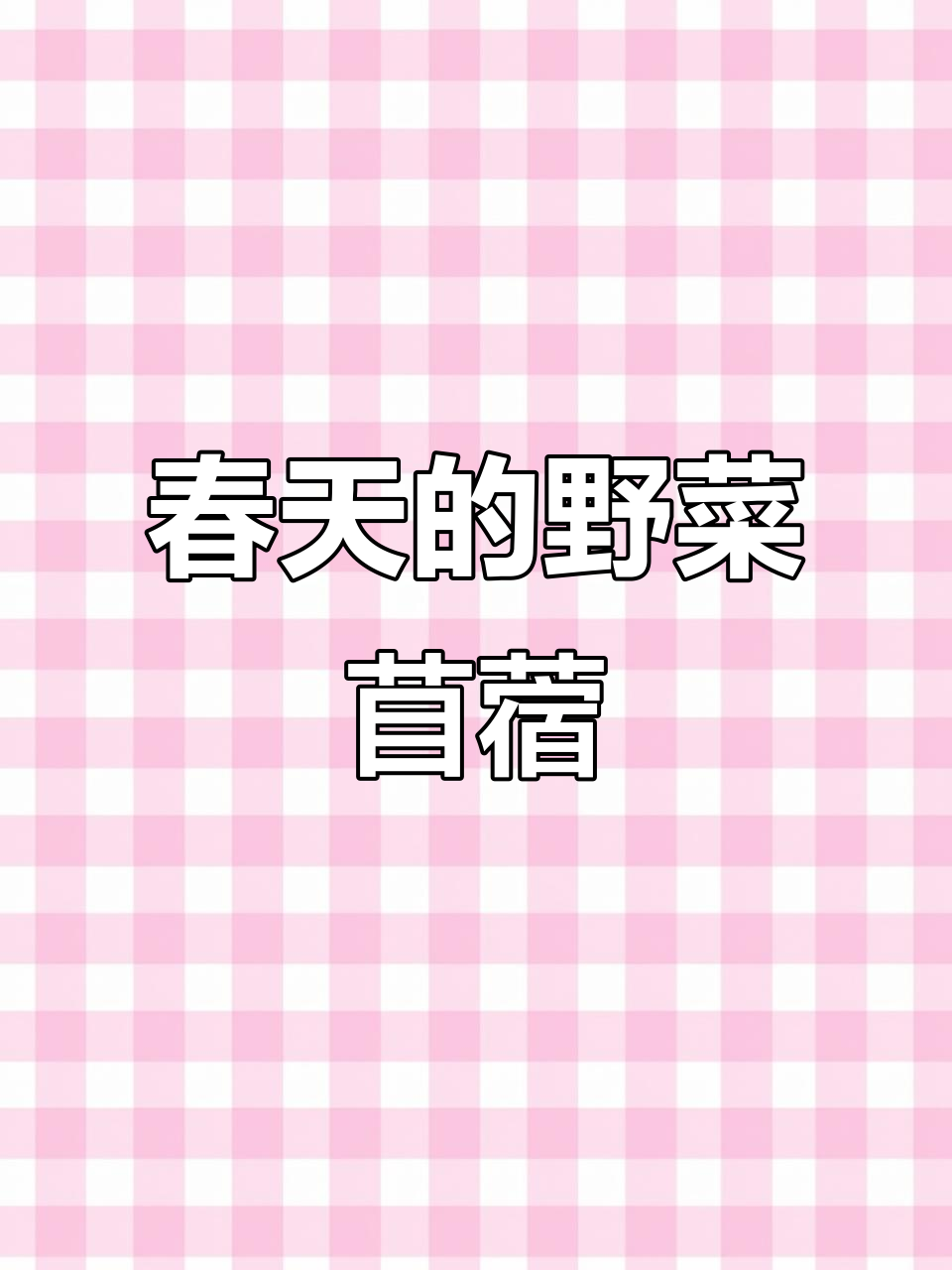春天必吃!苜蓿的独特美味与药用价值