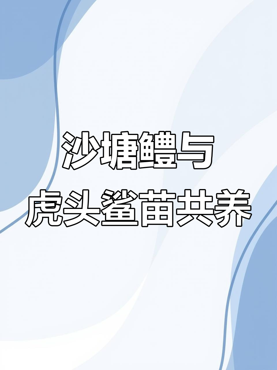 虾蟹鱼塘套养,呆子鱼也能轻松搞定
