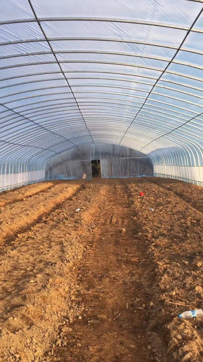 大跨度绿色蔬菜种植大棚 可养殖 结构设计规范 结实耐用型