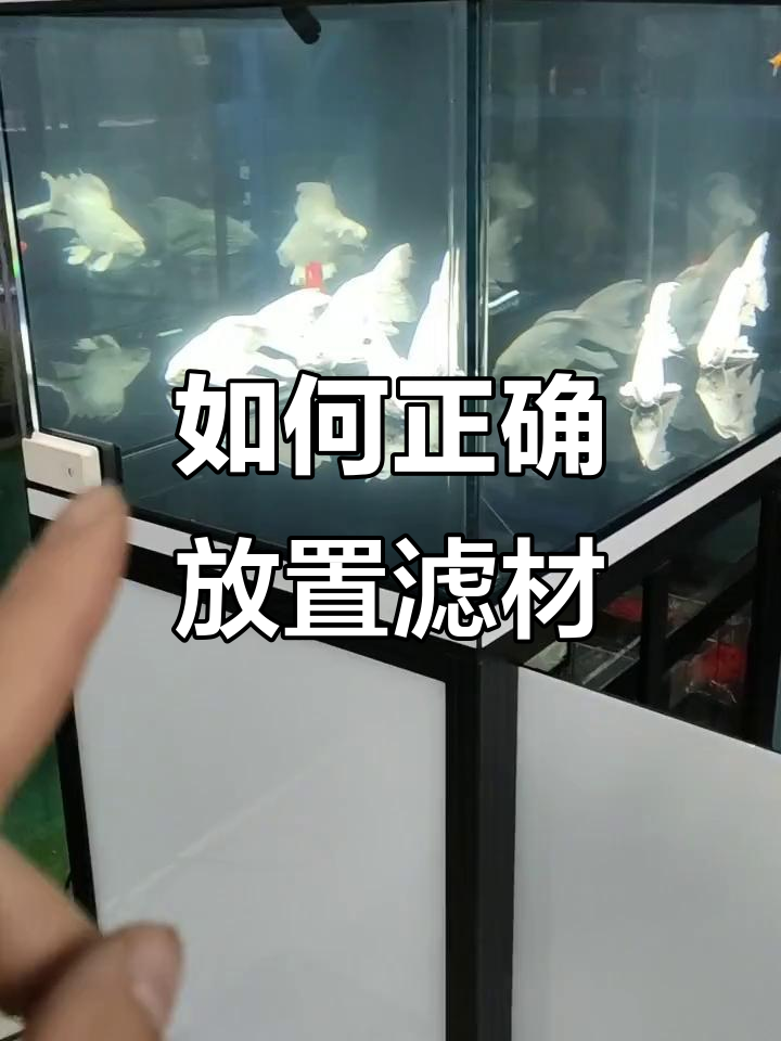 鱼缸过滤棉摆放技巧,打造空气缸的关键步骤