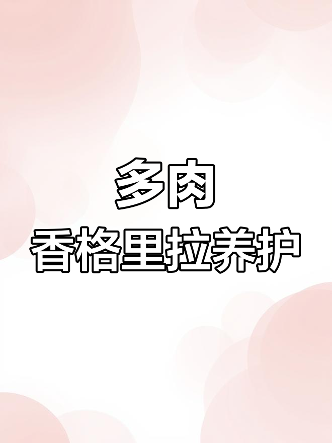 香格里拉多肉养护技巧