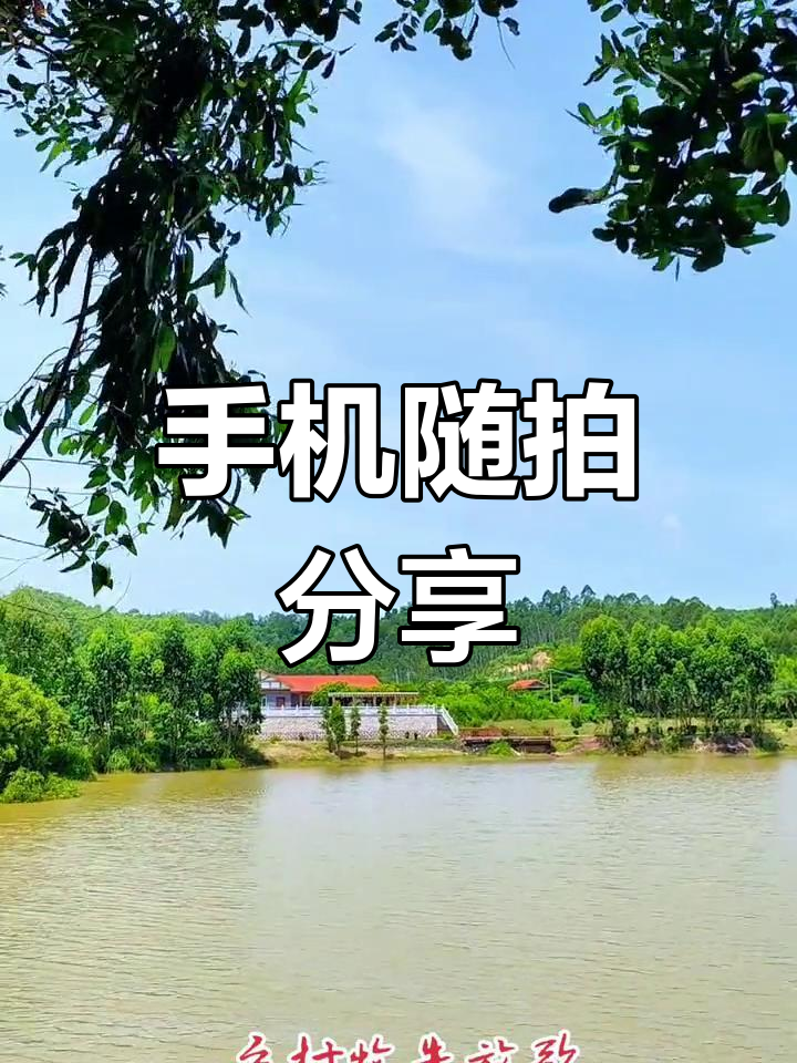 乡村牧牛,享受大自然美景