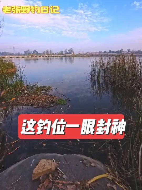 一眼封神的鲫鱼钓位