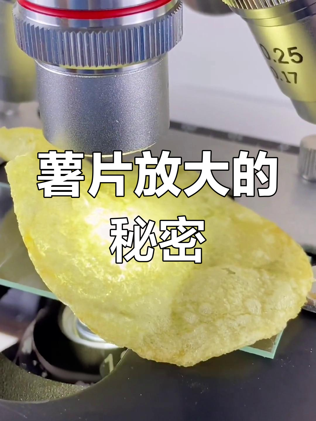 放大160倍看薯片,油腻真相曝光