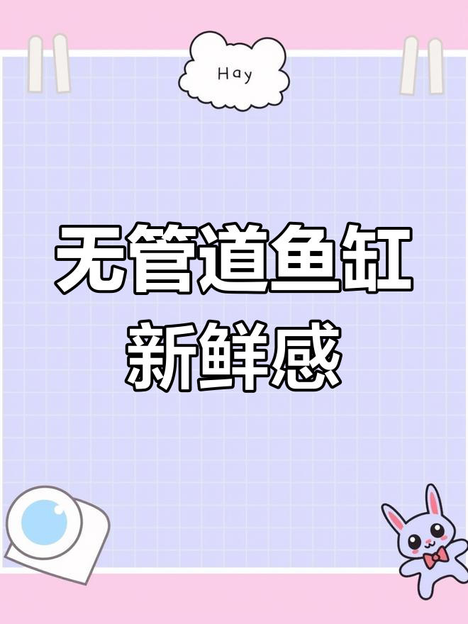 鱼缸设计新风潮:无管道更清新,客户体验升级!