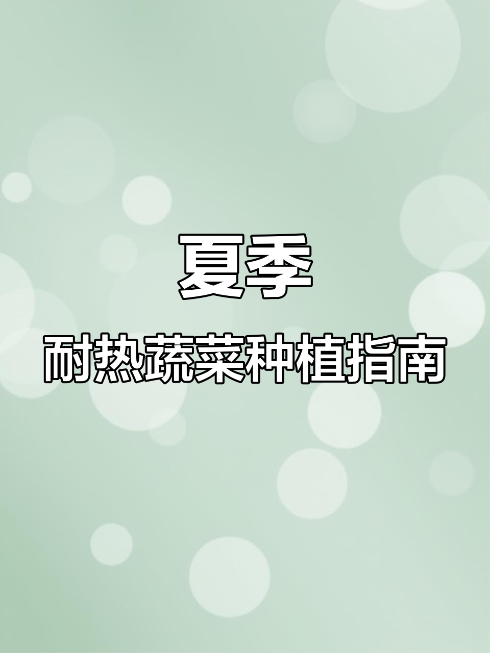 五月中下旬适合种哪些蔬菜?这些耐热品种赶紧试试