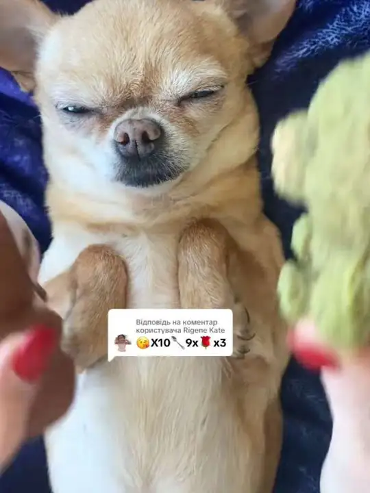 超有趣的emoji表情符号！