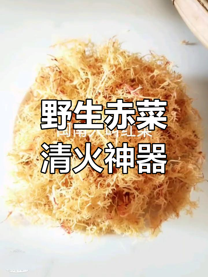 野生赤菜:春节熬夜必备清热佳选