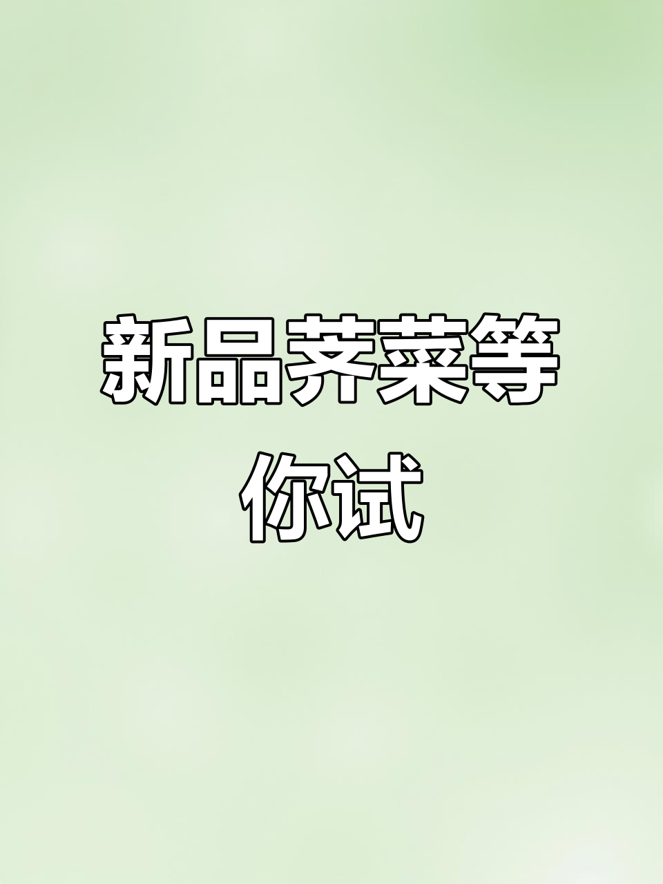 荠菜新品种,种子已备好,快来尝鲜!