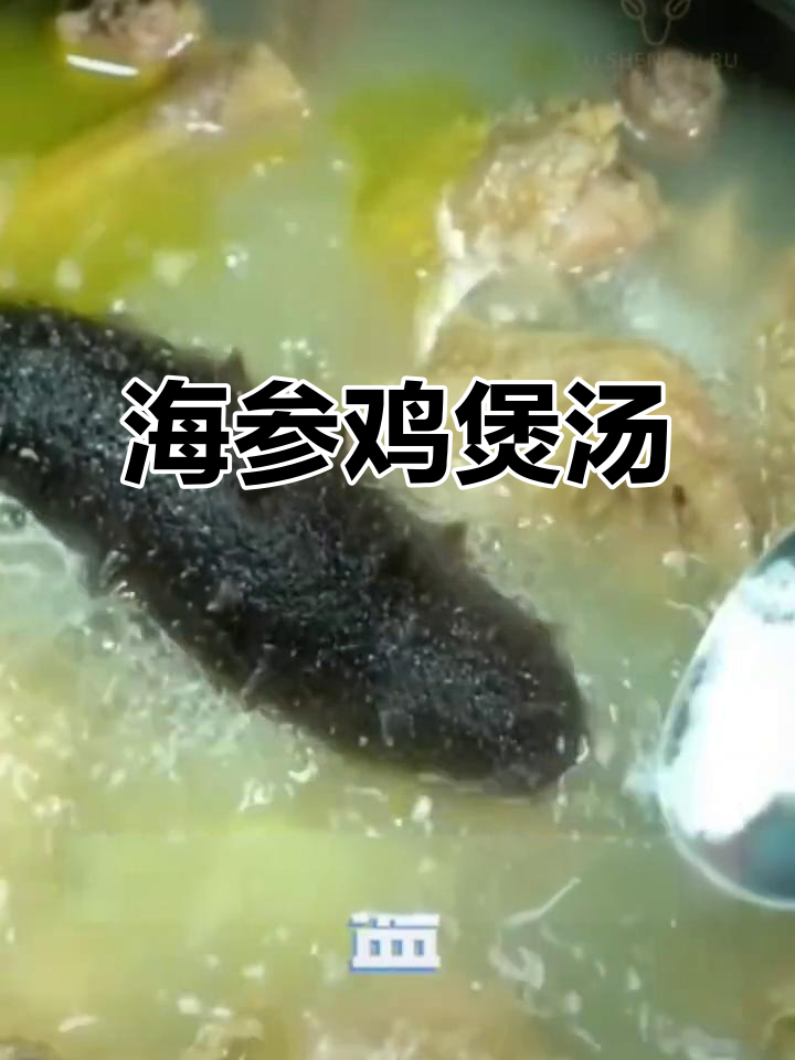 海参炖鸡汤,滋补又美味!