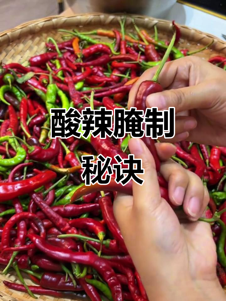 用矿泉水瓶轻松腌制酸辣椒,炒菜更美味!