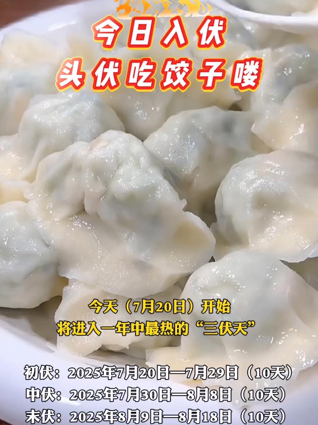 今日入伏,头伏吃饺子喽!头伏吃什么 三伏天来啦 头伏饺子二伏面(责编:王千硕 编审:张宇 