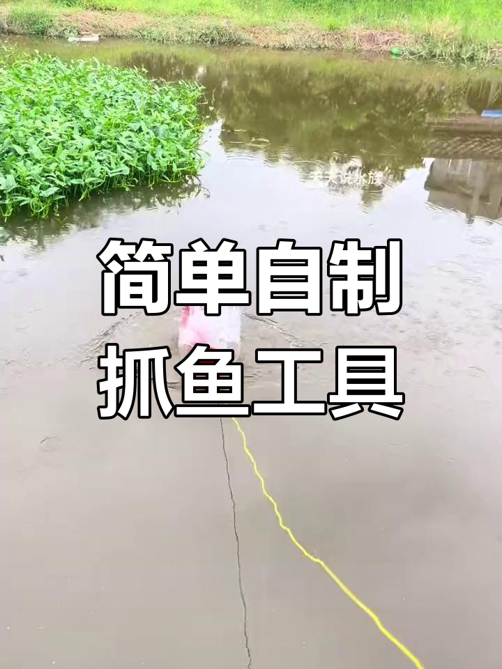 自制简易捕鱼神器,轻松制作大收获