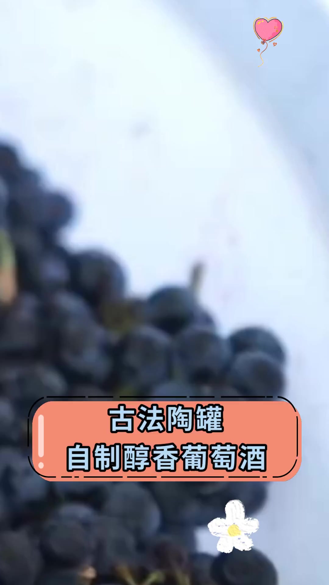 古法陶罐,自制醇香葡萄酒