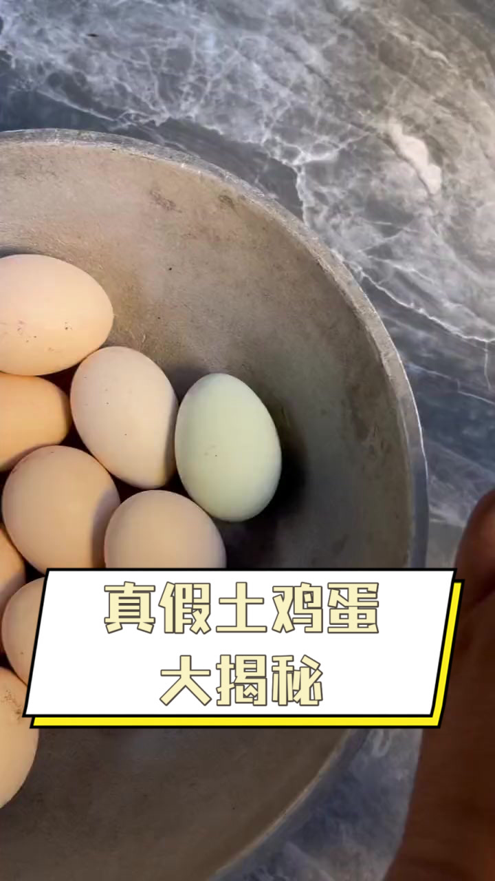 真假土鸡蛋大揭秘