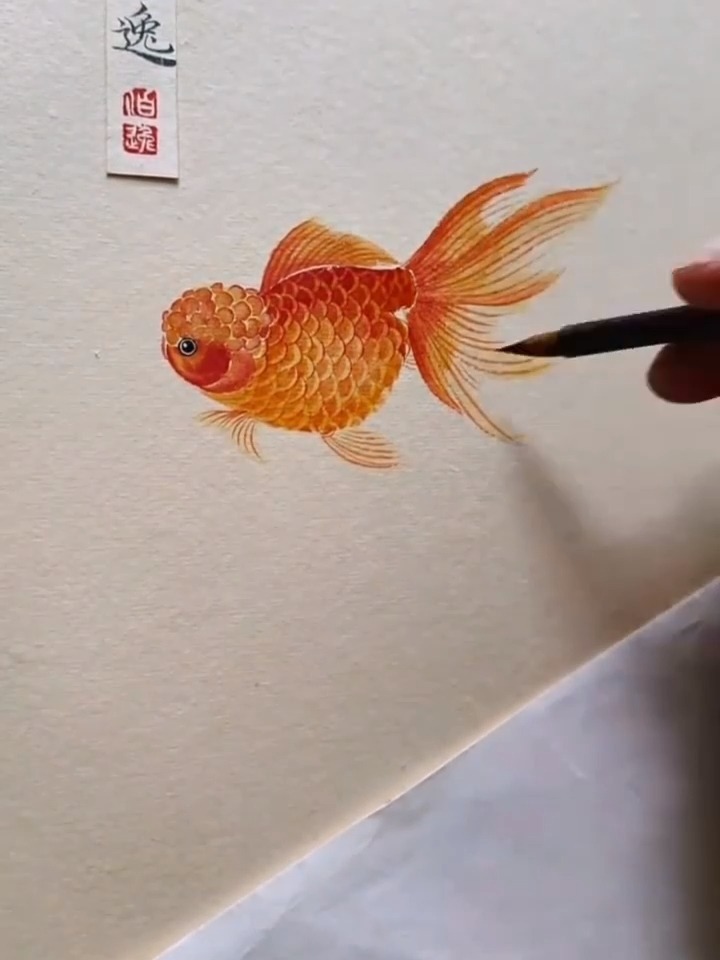 国画金鱼的画法,超简单超美~