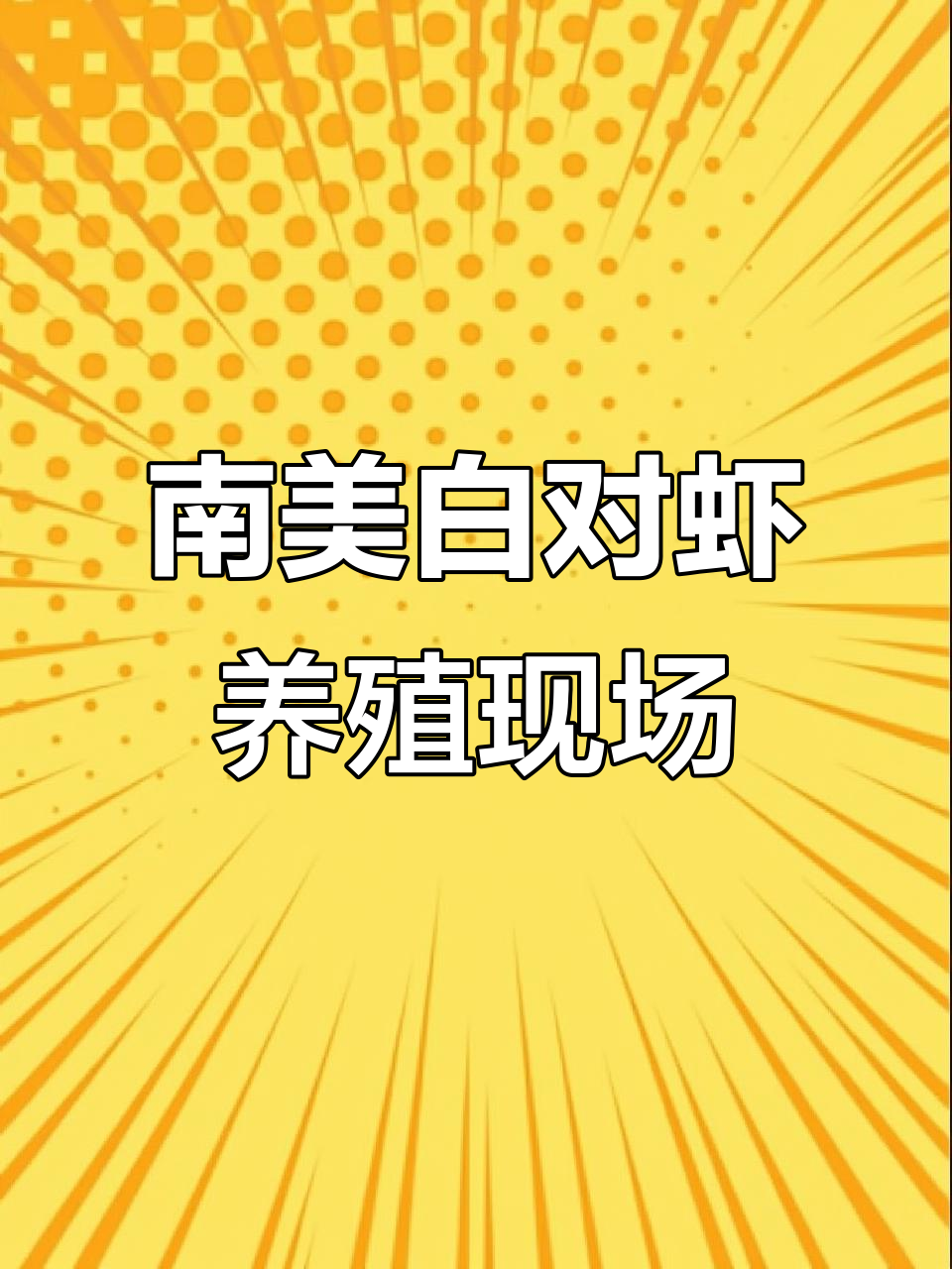 探访福建漳州南美白对虾养殖基地，海水回旋池深度解析